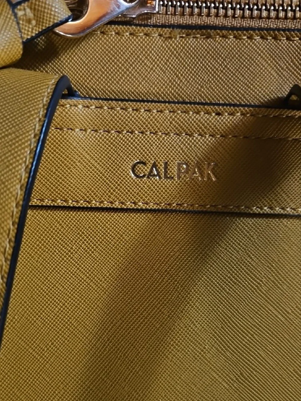 Calpak chic modern
